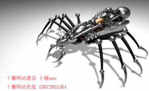 新站是否需要做sitemap?是否應(yīng)該建立robot.txt?網(wǎng)域名稱(chēng)一定要是www?
