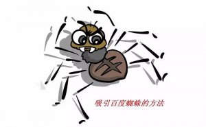 讓你網(wǎng)站秒被蜘蛛抓取的seo大招